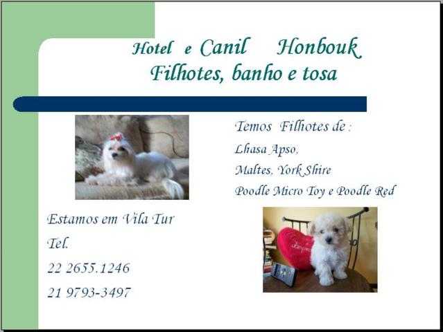 Vilatur - Canil Honbouk