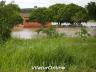 Foto_Ricardo_Bradock_03.jpg
