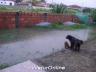 Foto_Tania_Lancasther_05.jpg