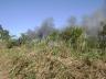 incencio-jacarepia-vilatur-04.JPG