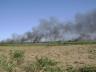 incencio-jacarepia-vilatur-08.JPG
