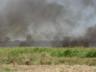 incencio-jacarepia-vilatur-13.JPG