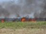 incencio-jacarepia-vilatur-14.JPG
